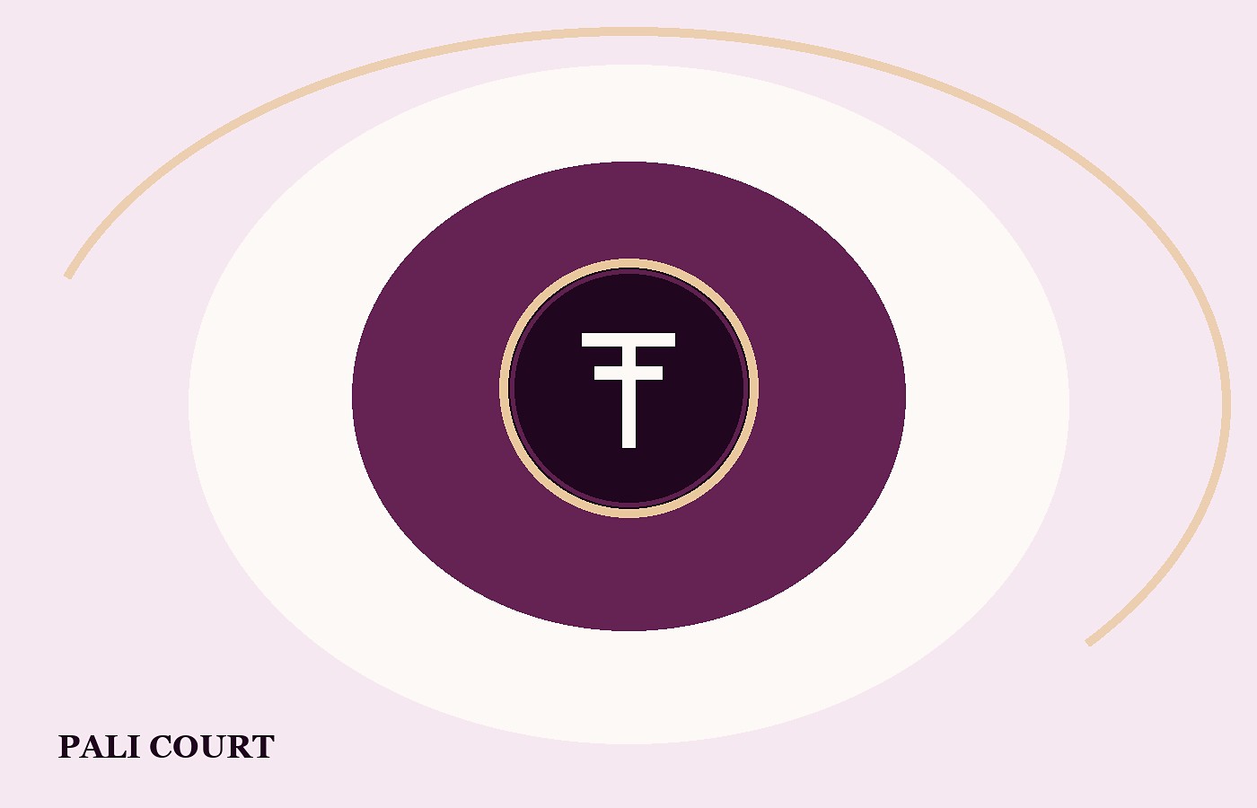 USDT Flash ERC20
